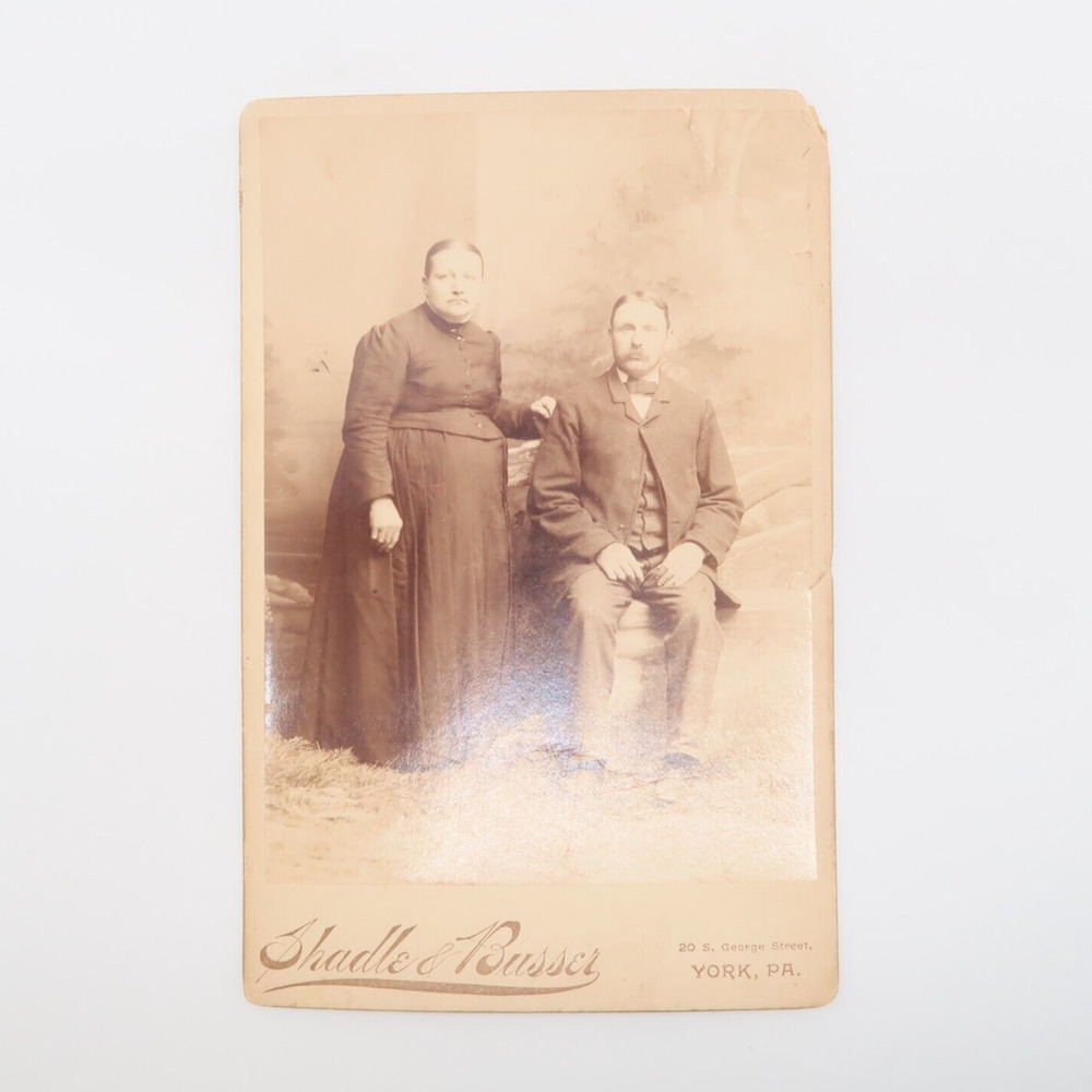 Antique Photograph Husband and Wife Portrait Shadle & Busser York PA 1880s 1890s